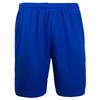 PE Short - royal